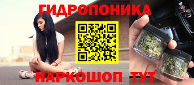 PSILOCYBIN Кимры