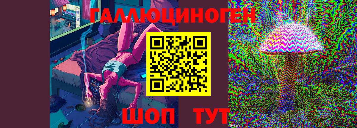 где купить наркотик  Галлюциногенные грибы MAGIC MUSHROOMS  Вход с VPN  Кириши 