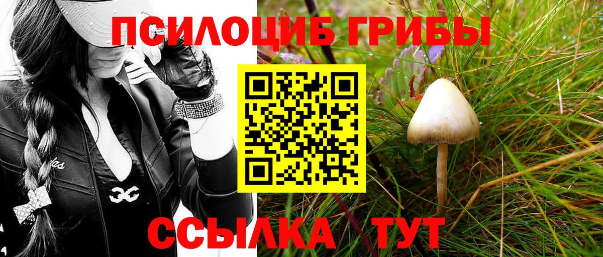 Галлюциногенные грибы мухоморы Кириши